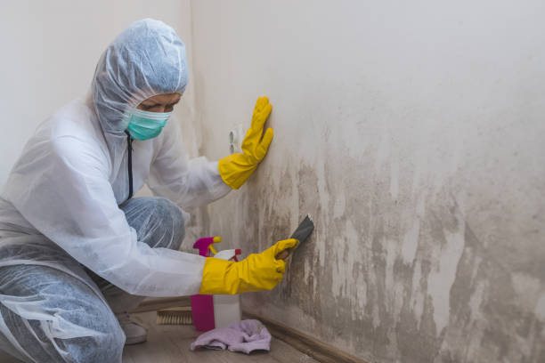 Best Residential Mold Removal  in Carnegie, OK