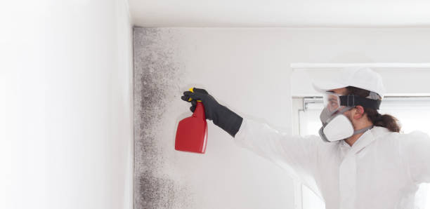 Best Emergency Mold Removal  in Carnegie, OK