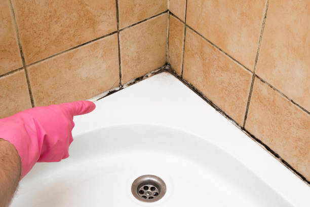 Best Toxic Mold Removal  in Carnegie, OK